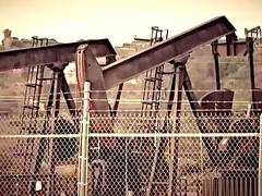 Antonio Biaggi and Derek Parker are two cowboys that love to ride dick