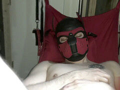 going knuckle deep and stretching a Pup