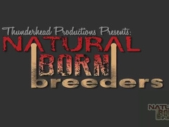 Exotic Adult Clip Gay American Exotic , Take A Look - Ray Dalton And Daddy Ric