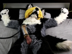 Wolfang and the Tugging Machine (part two)