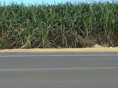 Abu Black - Monster Dick From Hammerboys Tv Scene 2