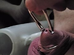 Thin Beaded Sounding Rod limp dick