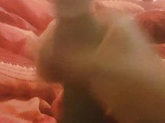 Bbc cumms and bust high