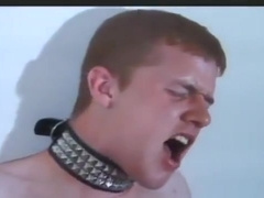 The Carlin Cousins in Kissin Cousins