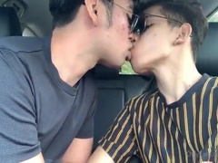 Asian Car Fuck