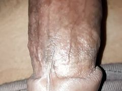 Desi bull very hard cock