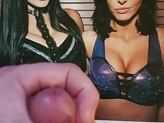 The IIconics cum tribute #2 (Peyton Royce, Billie Kay)