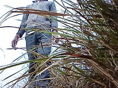 Boy sex video
