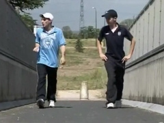 Confident Affectionate Scallys