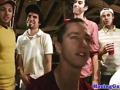 Doggystyled party studs hazed after sucking