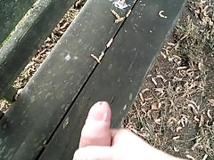 Paja ene l banco del parque