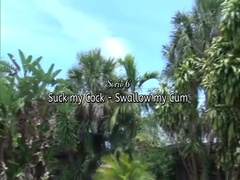 Made To Swallow Twelve