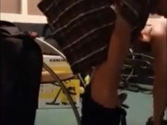 Ursos Peludos: Diversão Adulta