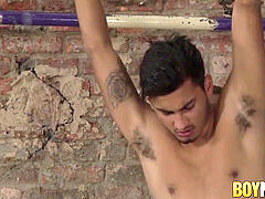 nipple tantalized twunk gets a messy jerk off from maledom