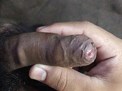 a small penis of a young man who likes to cum