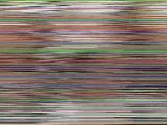 Riding Bare Compilation 2021 Vol 1 - Roman Daniels, Jake Olsen And Kyle Ross