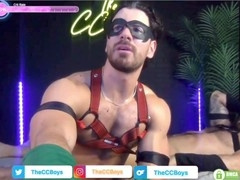 Robin, batman, hunk