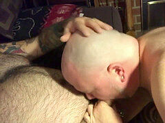 Wolf, amateur, bj