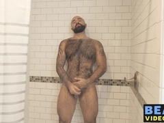 Bear washes his furry body and spanks his thick monkey