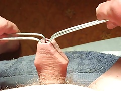 Foreskin in sunlight