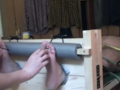 Naked bear tickled in stocks and on a rack