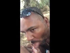 Bear sucking and eating 10