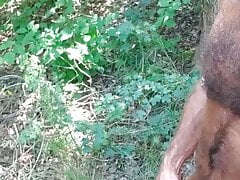 Jerking in the Wood