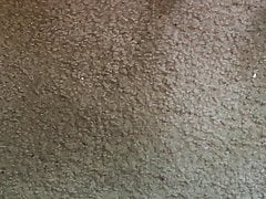 Me Doing a Small Cumshot