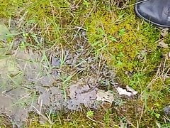 Mud runs through puddles in the forest