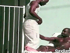 molten ebony studs by the Pool