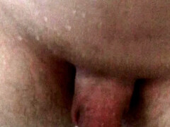 Naughty cock wants to be petted.