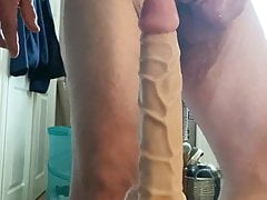 Dildo in bum