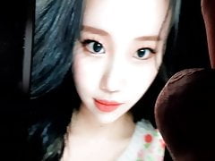 Momoland JooE cum tribute