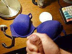 Cum on GF's blue Calvin Klein bra