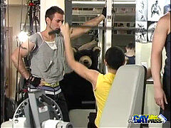 Gym folks fellatio Antics