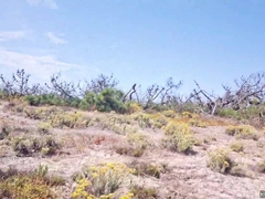 Mischievous fellow wanking his XXL meatpipe in a public beach - risky onanism