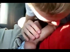 young twink sucks dick in car and swallows