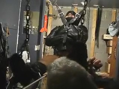 Latin tickle ache pup Pt two