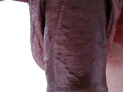 I CAME BACK FROM THE ACADEMY LIKE THIS, XHAMSTER VIDEO 182
