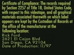 Zoltan Et Les Minets De Lest