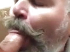 Daddy bear blowjob