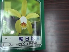 Japanese05