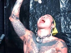 Wild Yoshi Kawasaki drinks his own pee