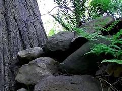 Tattooed twink plays with his cock solo