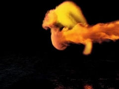 I don t want a fly boy I just want a timid fellow!