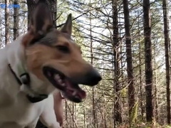 Hottest Adult Movie Gay Outdoor Great Watch Show