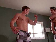 hetero bear dickblowing before analsex