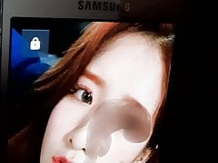 WJSN Exy cum tribute