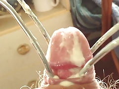 Foreskin with mayonnaise dressing !