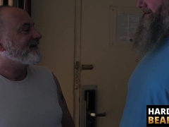 HardcoreBears.com - Hairy cub receives a raw ass pounding from a chubby bear stud